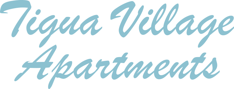 Tigua Village Logo